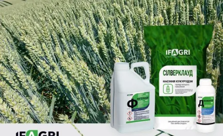 Нові засоби захисту рослин та насіння кукурудзи у портфелі IFAGRI