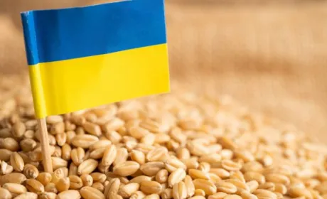 Україна має отримати компенсацію за обмеження експорту агропродукції до ЄС, – Ольга Стефанішина