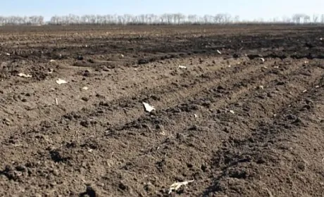 На очищення грунтів, забруднених внаслідок бойових дій, знадобиться десятки років, – еколог