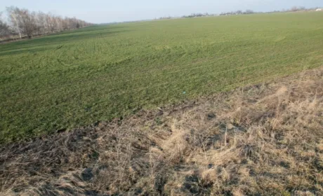 На Одещині фермер втратив через посуху весь урожай і наклав на себе руки