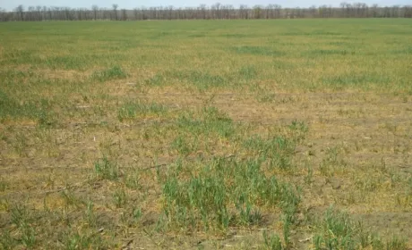 У Мінекономрозвитку відреагували на суїцид фермера в Одеській області