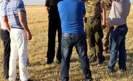 Озброєна охорона та 30 кілометрів колючого дроту: на Вінниччині орендар збирає врожай