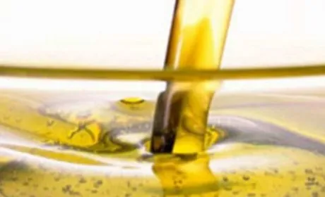В Україні вироблятимуть кошерну соняшникову олію та шрот