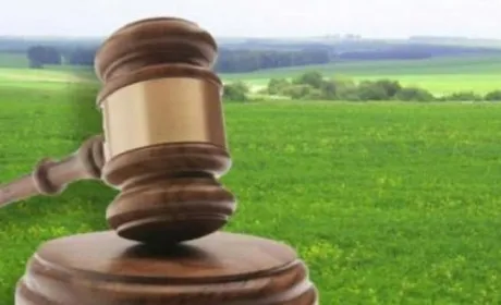 В Україні знижується середня ціна 1 га оренди та купівлі сільськогосподарської землі