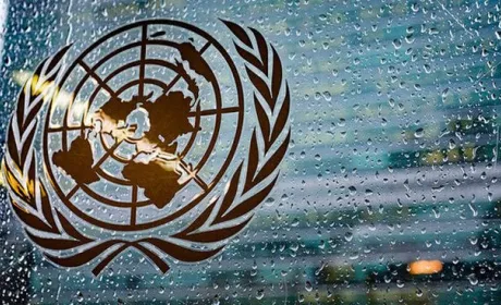 Україна увійшла до Комітету продовольчої безпеки ООН