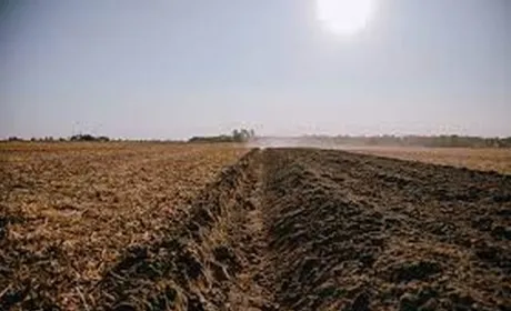 Фермер з 2014 року розорював одне з найбільших поселень трипільської культури