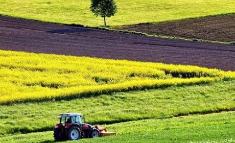 Вартість оренди гектара землі зросте у два рази після введення ринку, - програма уряду