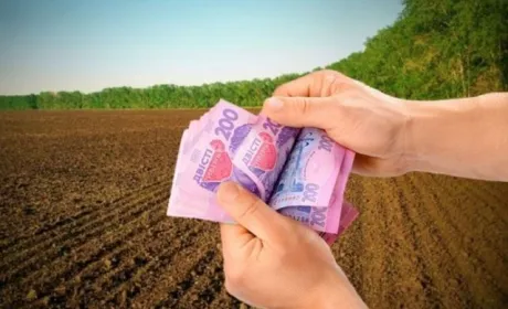 Нібулон виплатить орендну плату за землю, яку він не мав можливості обробляти