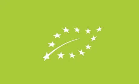Україна посіла друге місце з експорту органічної продукції в ЄС