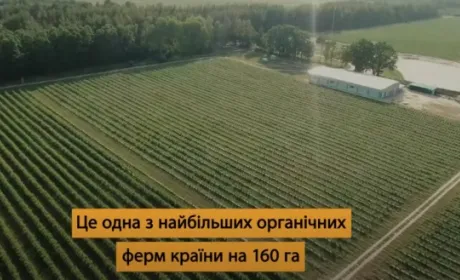 Як на занедбаній землі аграрії облаштували найбільше органічне господарство в Україні