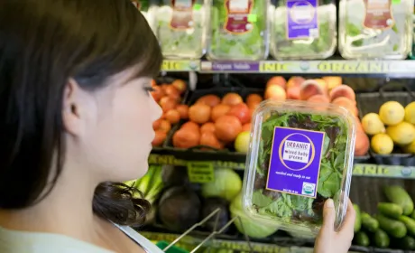 В Україні підробки продають за ціною органічної продукції