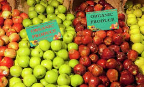 До списку найбільших імпортерів органічної продукції з України входять лише розвинуті країни