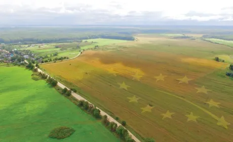 У 2020 році кількість органічних площ і виробників в Україні зменшилася