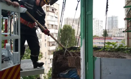 В Києві обвалилася влаштована на балконі грядка з полуницею