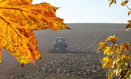 На Рівненщині закінчують осінню посівну