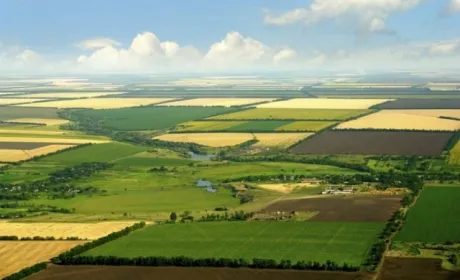 Як уникнути помилок при купівлі-продажу паю