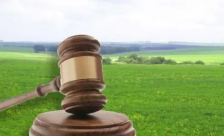 На Вінниччині оштрафували депутата за передачу земельної ділянки своєму синові