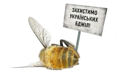У Держпродспоживслужбі розповіли, як уникнути отруєння бджіл пестицидами