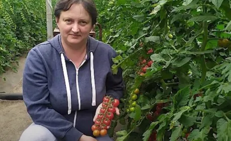 Бізнес під прицілом: підприємиця з Луганщини об’єднала аграріїв в успішний кооператив
