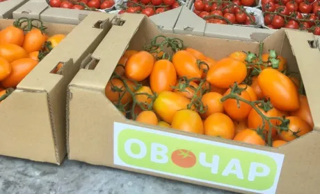Повернувшись із фронту, ветеран відкрив власну справу та об’єднав довкола себе десятки фермерів