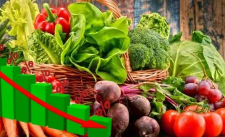 Більшість овочів в Україні подешевшали