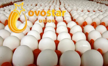 Ovostar Union має намір купити польський птахокомплекс