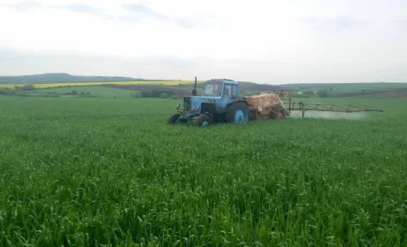 Запаси продуктивної вологи під озимими культурами в більшості регіонів України оптимальні