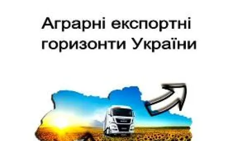 Видано експортне портфоліо аграрного сектору України-2018
