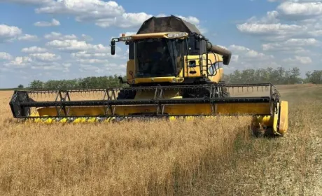 ПАЕК збирає врожай гірчиці на деокупованих землях