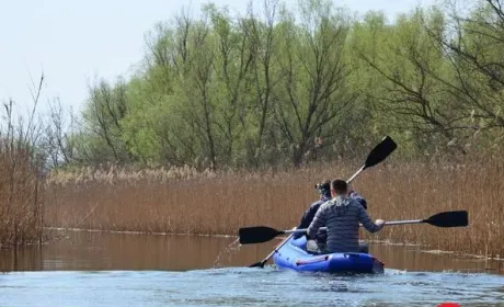 На Херсонщині не розводитимуть дичину для відстрілу мисливцями