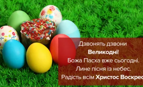 Шановні колеги!