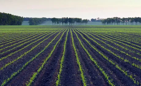 Україна найбільш розорана країна світу