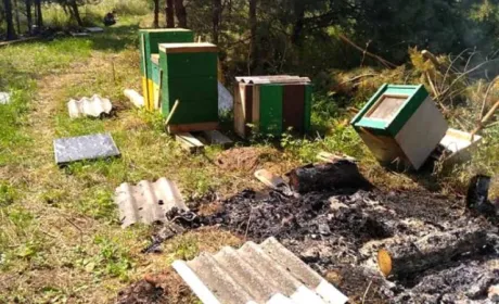 На Тернопільщині нелюди навмисне спалили пасіку