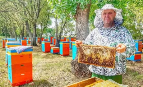 У 2020 році майже 23,5 тисяч українських пасічників отримають державну підтримку