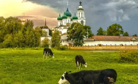 На Одещині фермер побився з черницею через пасовище
