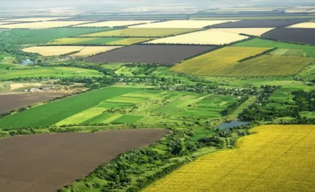 Скільки українців мають земельні паї у своїй власності