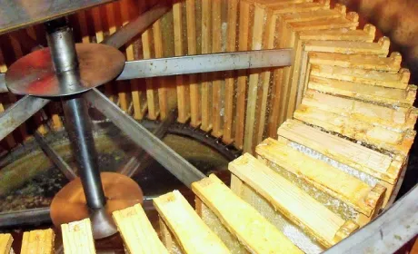 На Хмельниччині створять школу бджільництва для воїнів АТО