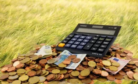 Рада повернула ставку ПДВ в 20% для аграріїв