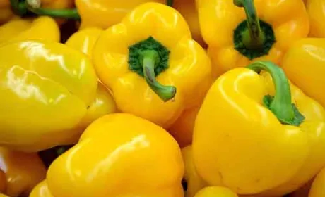 Ціна на український перець впаде на початку осені