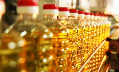 У грудні переробка соняшнику в Україні скоротилась на 17%