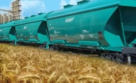 Вартість перевезення зерна Укрзалізницею знижується