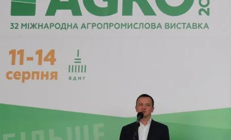 Петрашко розповів, як відкриття ринку землі вплине на виноградарство і садівництво