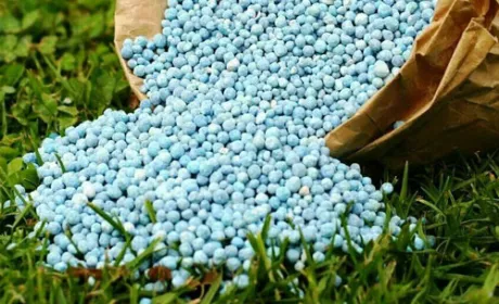 Розслідування МКМТ щодо імпорту в Україну міндобрив загрожує кризою аграрної галузі