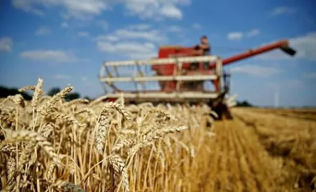 Зарплата у аграріїв за 7 місяців зросла майже на чверть