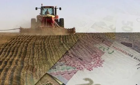 З початку року аграрії отримали кредитів на суму понад 20 млрд грн