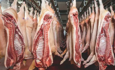 У І півріччі експорт м’ясної продукції зменшився на 12%