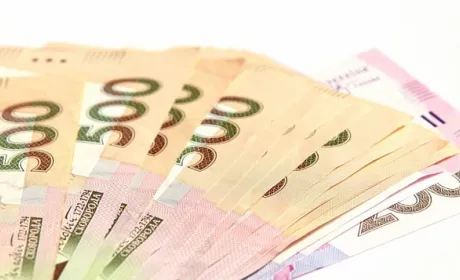 Основні платники податків серед агротрейдерів у 2024 році