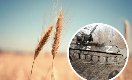 Окупаційна влада на Запоріжжі змушує фермерів платити «податки» готівкою