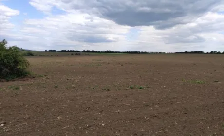 На Хмельниччині землі природного парку засіяли соєю та кукурудзою