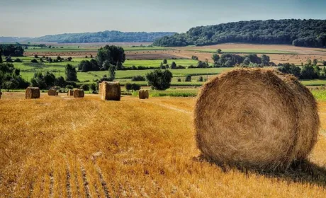 Скільки працюють фермери в ЄС та світі